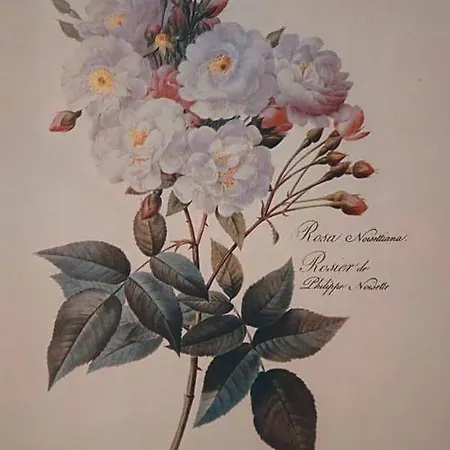 La Casa Nell'oliveto Nocleg ze śniadaniem