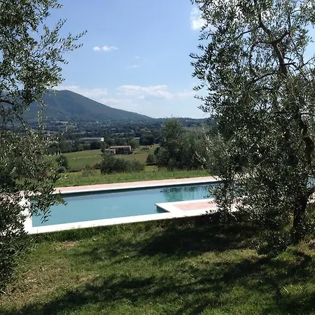 La Casa Nell'oliveto