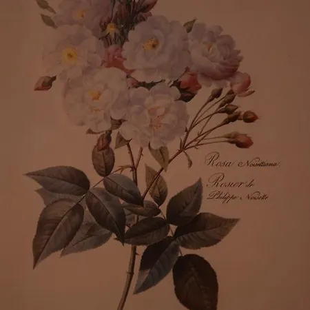 La Casa Nell'oliveto Bed and breakfast 3*