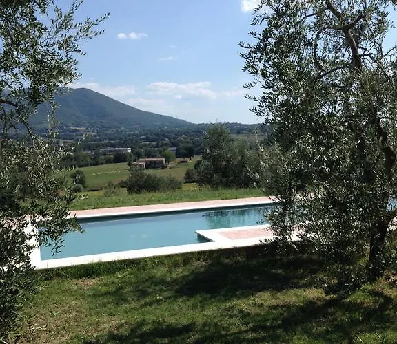 La Casa Nell'oliveto