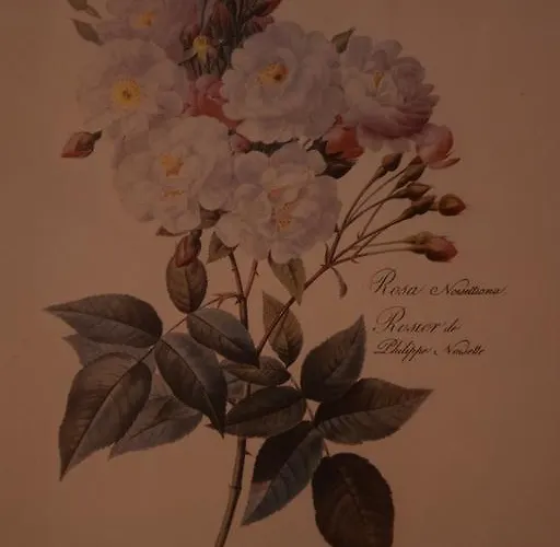 La Casa Nell'oliveto Bed & Breakfast 3*